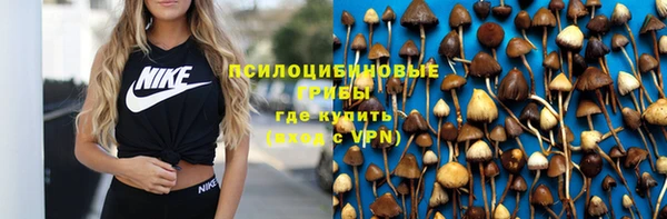 гидропоника Куйбышев